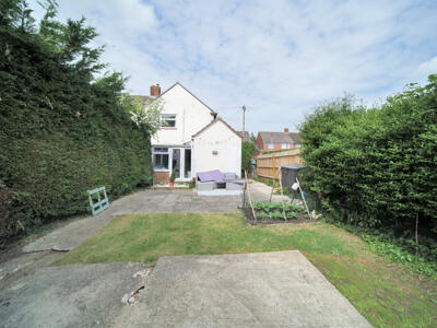 Picture 17